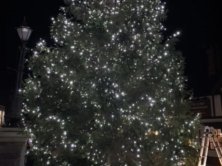 ADAS trees