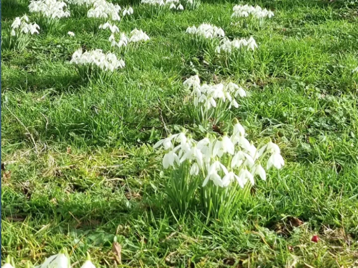 Signs of Spring