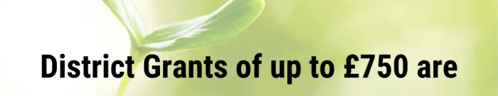 New Beginnings grants