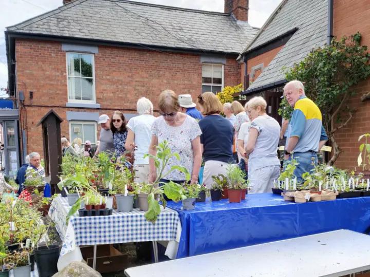 2024 Plant Sale 4