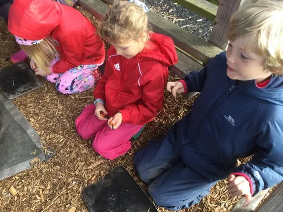 Forest School 2024d