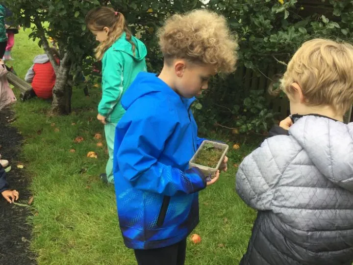 Bug hunting