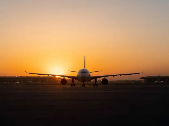 Plane Sunset