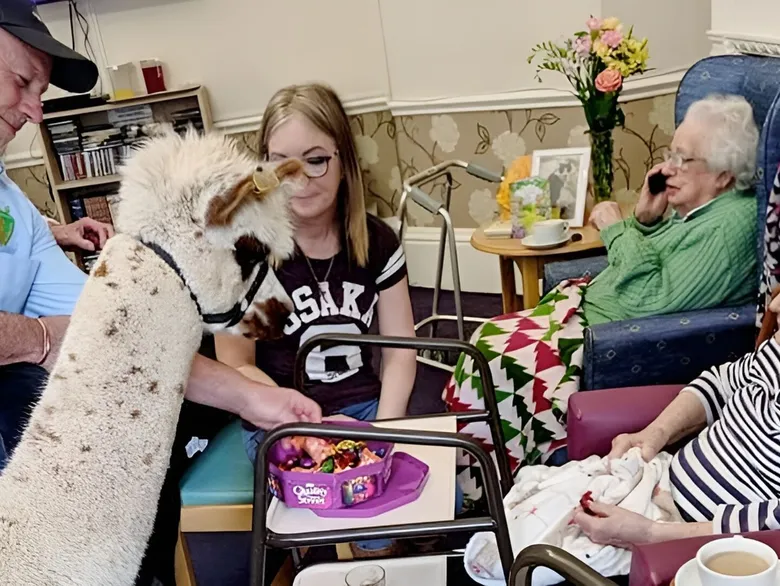 Residential Nursing Home Visit
