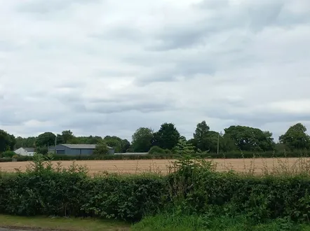 Hatton Fields