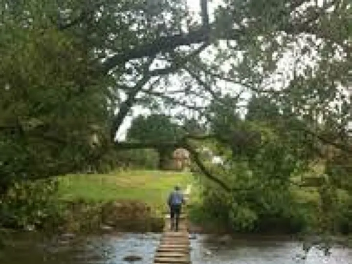 steppingstones