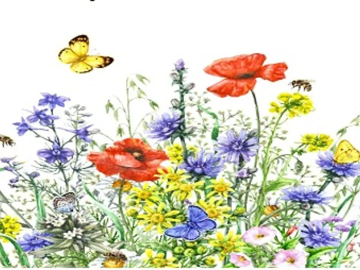 flowers