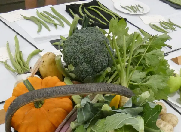 HHS Show Veg 2025_01
