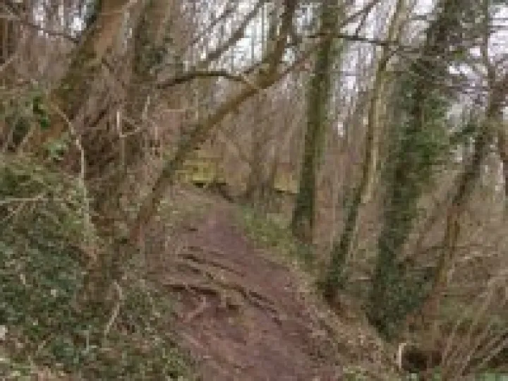 Footpath