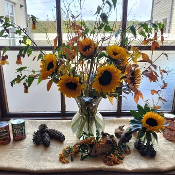 Tickhill Harvest Sunflower Window 2025