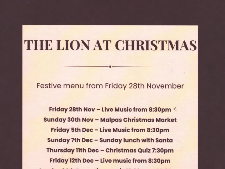 The Lion1