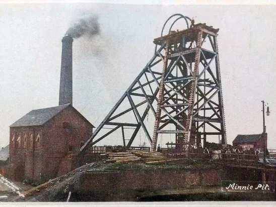 The Minnie Pit 2025