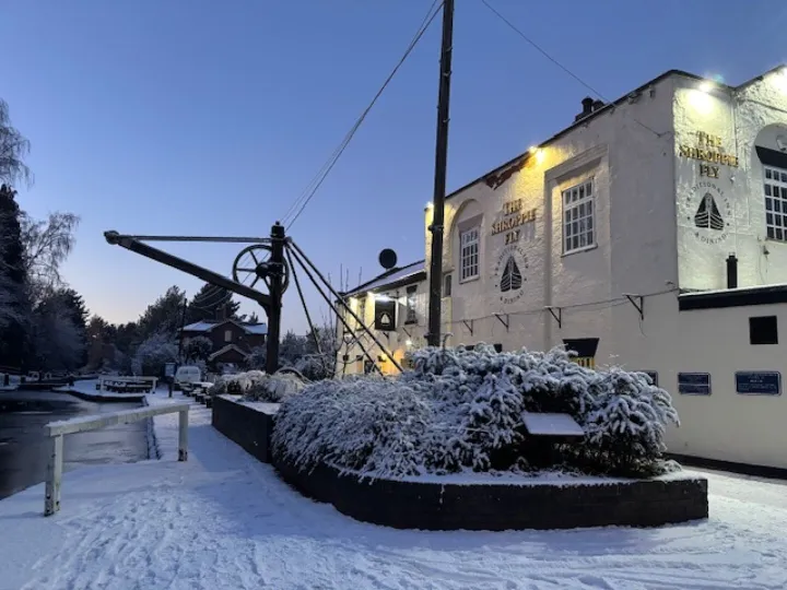 Shroppie in Snow