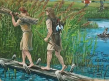 Sweet Walkway Somerset Levels