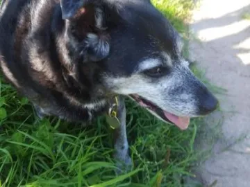 Image: 20190919 141142