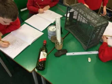 Image: 313B15AB-38BC-4393-A5E1-1D2F0BD1BC05