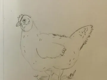 D535F538-29E5-43A0-862D-FD466CEE003D