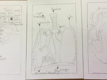 Image: 5DAF00EB-06E7-4A93-9945-EC3AE7AE98BC