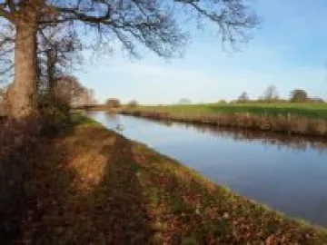 Litter Picking 2013 (3)