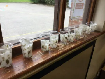 A9BE201F-5EF0-4DCF-B43A-4A84B476C633