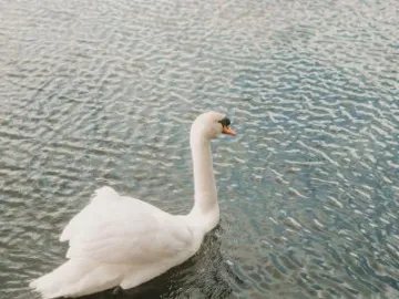 ArtsPavilionResizedbyLuisaStarlingPhotography-50