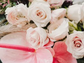 ArtsPavilionResizedbyLuisaStarlingPhotography-118