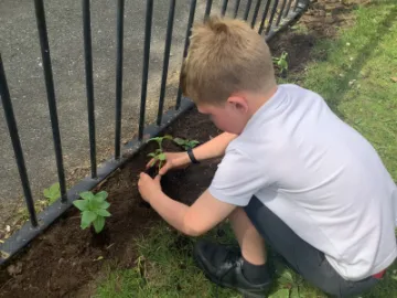 Image: 537A9E44-D8F5-4920-A568-A3500D1C2826