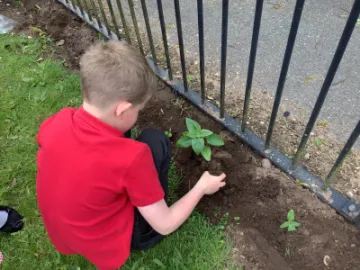 Image: 6A7FC2A6-AAA8-4192-AD38-38B7BAB00F5D