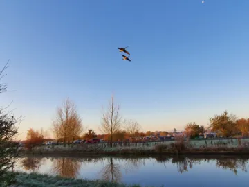 Image: 20211125_081331