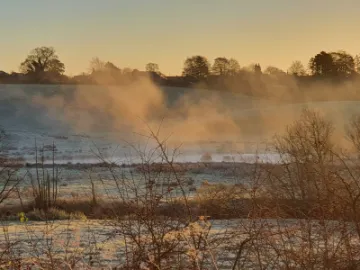 Image: 20211125_082405