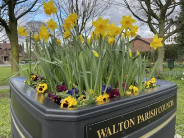 Springtime planters