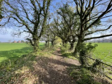 Thomason Bridge