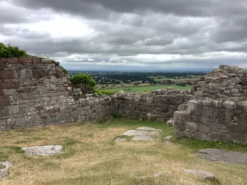 A12C783B-04C1-454A-B1AB-BDABF1A1D3D5