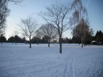 EFF17DB9-2830-4421-B976-3B9B855ABEA7