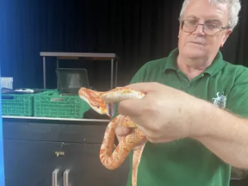 Summer fete 2023 &ndash; Creepy Crawley show