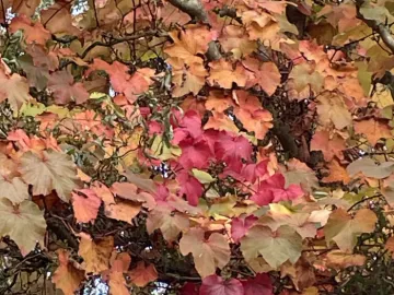 176D7024-AE28-4F00-AF06-215A7AEA6E7E