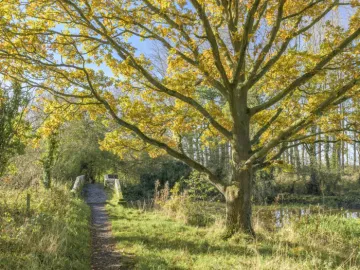 Image: 20231111 112017