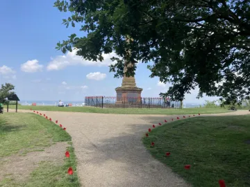 Frodsham path poppies
