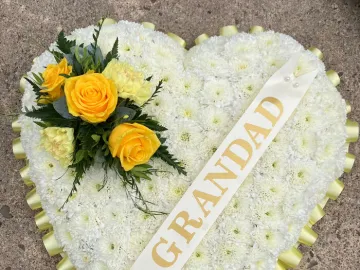 Processed-4b90dcf5-Cdeb-4b98-9