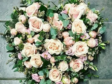 Original-76308521-7efc-4ef1-8d