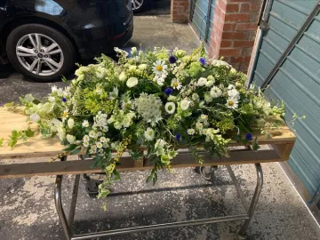 Processed-3353dc7f-0f68-420e-8