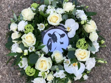 Processed-Fe649d0d-Eb3b-4feb-A