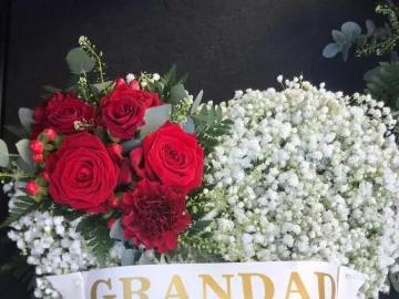 Original-6263a0de-A797-4875-88