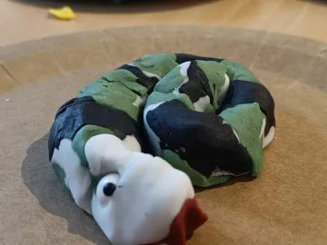 Tinaye's snake