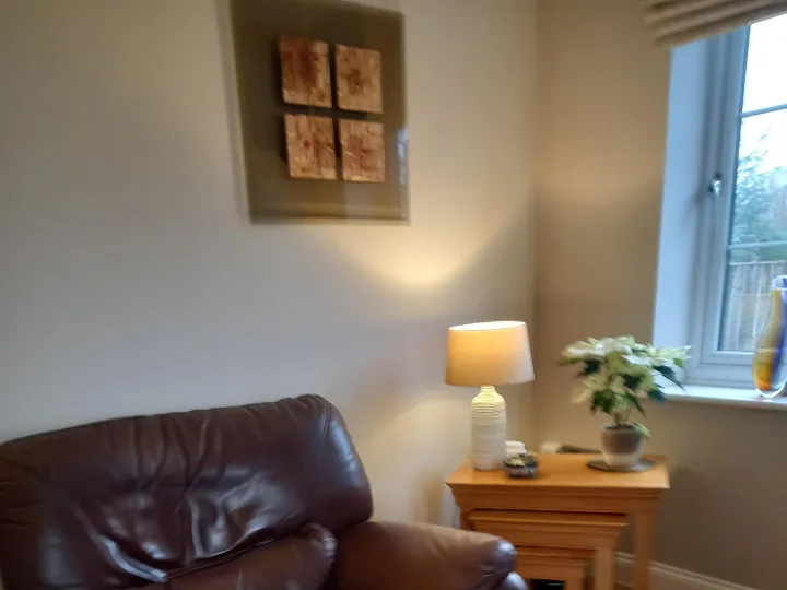 Items free to a good home! &ndash; Brown leather reclining chair n/r