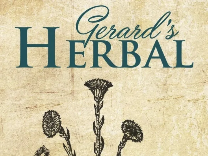 E9081b99-D160-4d73-8154-2fd0fbd28801_1_201_a