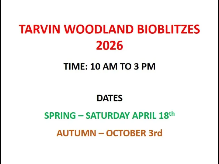 Tarvin Bioblitzes 2026