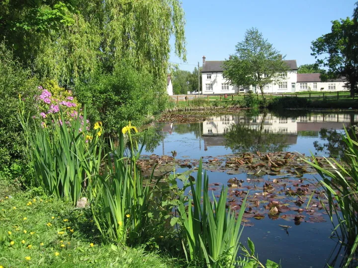 F79d670e-E562-445f-8dce-Cee9a7348d13_1_105_c