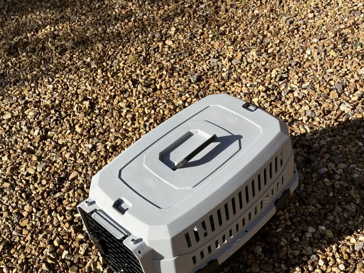 Items for sale &ndash; Cat / puppy &pound;10