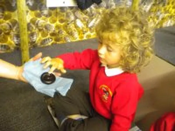 Knowsley Safari Park 036 &ndash; Copy